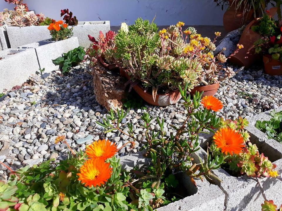 La Dimora Degli Artisti Bed & Breakfast Catanzaro Dış mekan fotoğraf