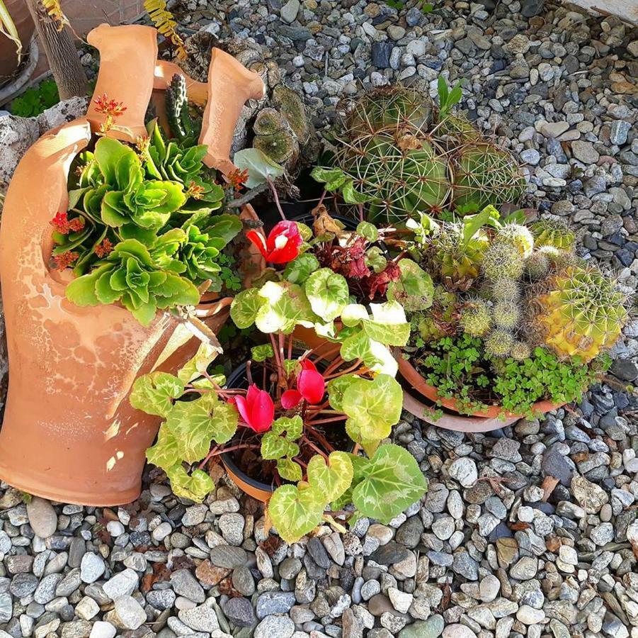La Dimora Degli Artisti Bed & Breakfast Catanzaro Dış mekan fotoğraf